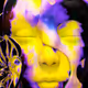 70784548738065261129529568800005045318243133786655559422453910925150714331137