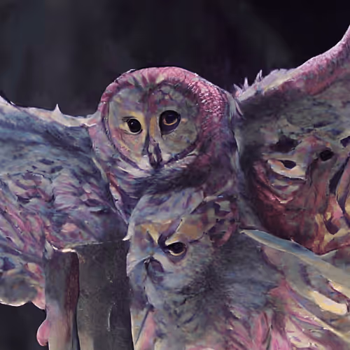 Animals That Shine