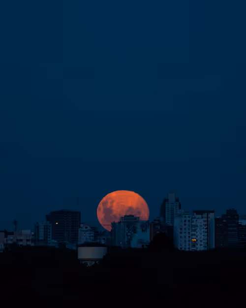 Item #58840298748921083266306433592965012600718333725570859904622177743219088949249 Media