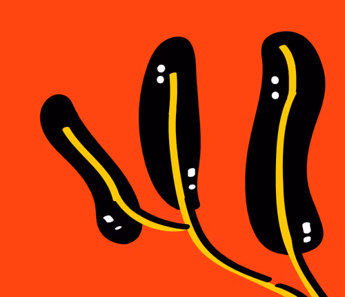 Item #24272124343134340103176744473993871061364753482217001834237996898373576163329 Media