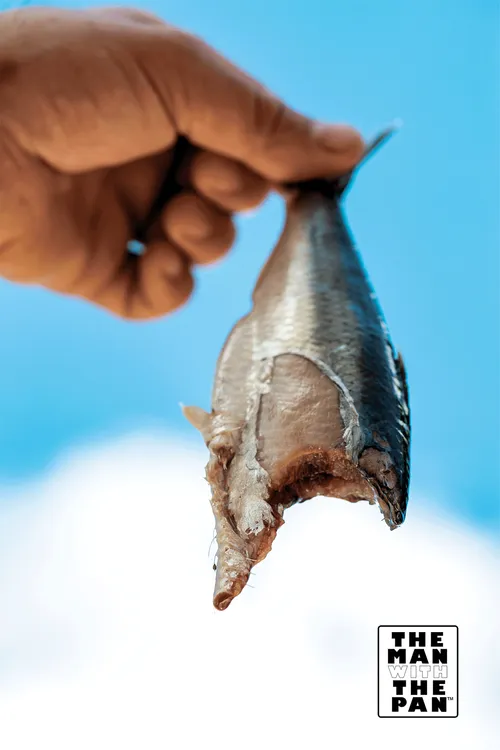 Item #102802748031102708284422320770050552200974967614236194689622143207256625250305 Media