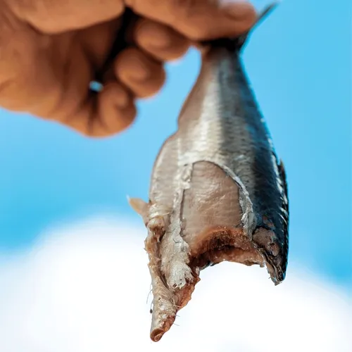 themanwiththepan Collection