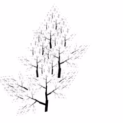 Self Generated Art  #1