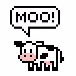 #002 cow