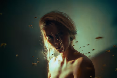 Item #19586393811573236402561731302236147735132277441233289904555605204175817801738 Media