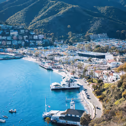 The Catalina One