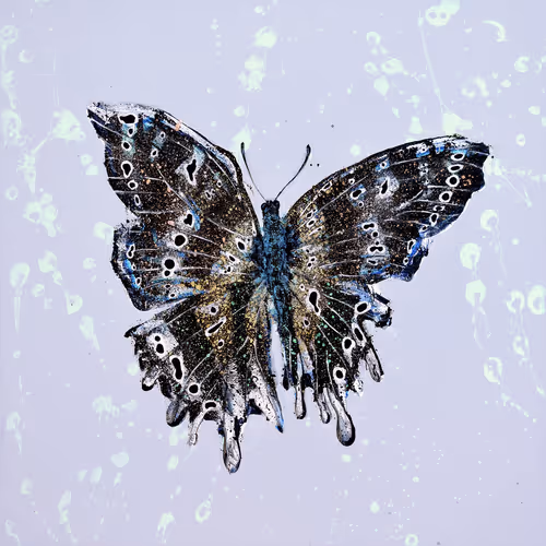 Item #31878015786887625449379653420806268900262982390960709769222713627802999980033 Media