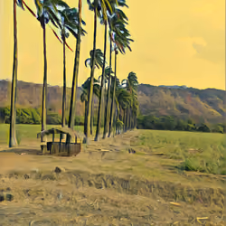 #17 - The Aragua Cross