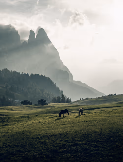 Item #38924576034191534483918035384894481257816568024027157043695321830600919220225 Media