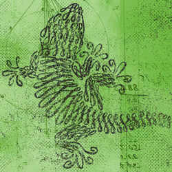 12520096913277121545232673772747947087596815365110293900319642895201393967105