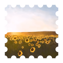 N stamp #04