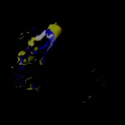 ô̵̢̡͈͙̱̠̝̄̉̄̿͋̆ñ̵̝̣̙̑õ̶̜͇͚͋̌̾̂̊ͅǫ̷̢̺̟̀̏͒̑̽̈́