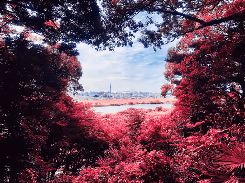 Kodoku Tabibito Collection - old