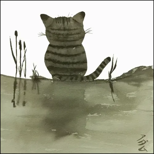 Colorblind Cat Creations