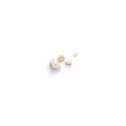 Garlic Cloves + Pixels