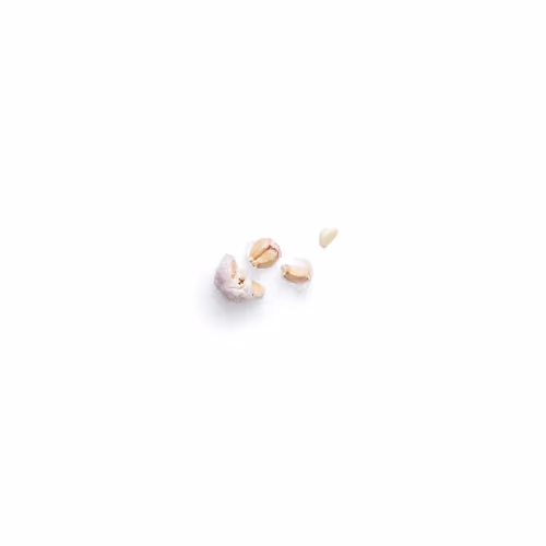 Item #90805863105562476265967287381100377475206685669001558030346955820312540741633 Media