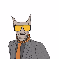 Canimal Doge