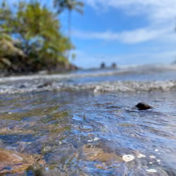 Hawaii water view 