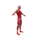 52558362093067191435231134745004918507515332583280991982809327840971016110081