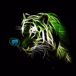 Tiger lights