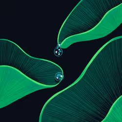 22595162815532753526113839877592438025422193508415084898168917311613065756673