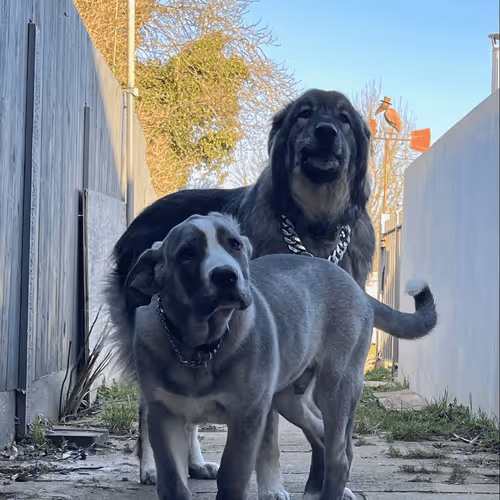 Untitled Collection #91376706