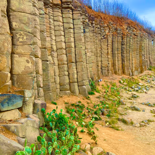 samchang591107 Collection