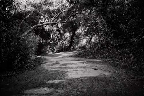 Item #104577317193629277838859014289850954037009501106472948457623431552458855284737 Media