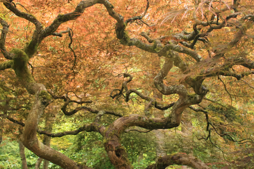 Item #7492014197175371295993437747185923975564654594515035294338329639869933944833 Media