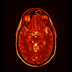 64162533542198579898252916190583583845604629893829087458582976364817552506881