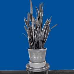 25379124807980713745219244606437574046087384809022650852355167091729702584321