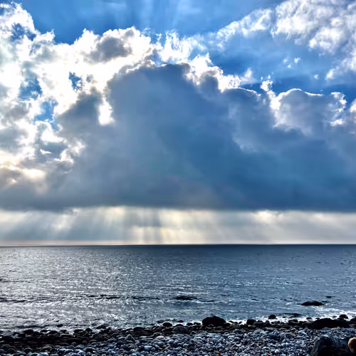 Kaasatrader Collection