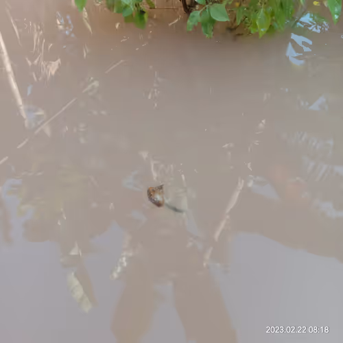 Item #15416064837448188610247350204521494909343598378477019548960405624605575741441 Media