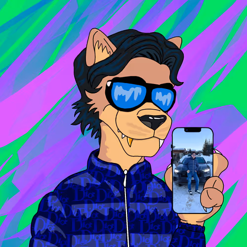 lorenzo_zt Collection