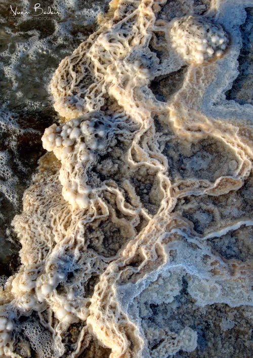 Item #95487849317578156668407947813270977219507958341613575813230836739327530106881 Media