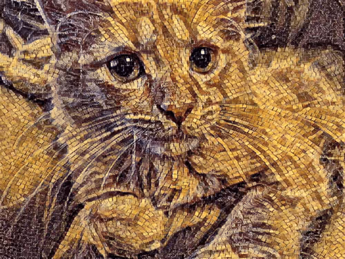 Item #70677597916389332091875359855925065117436584504780574341127713040087604264961 Media