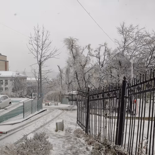 Untitled Collection #40631455