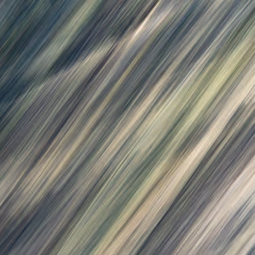 Ghosts Of Elowah