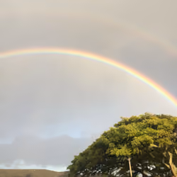 Do You Believe in Menehune?