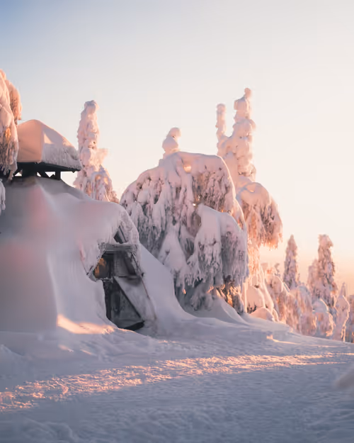 Item #85137439897558800446681939847979956921112818192745958846838338951262876205057 Media