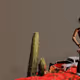 arshiapl Collection