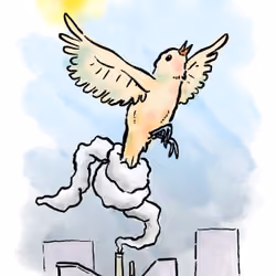 Bird in Smoke