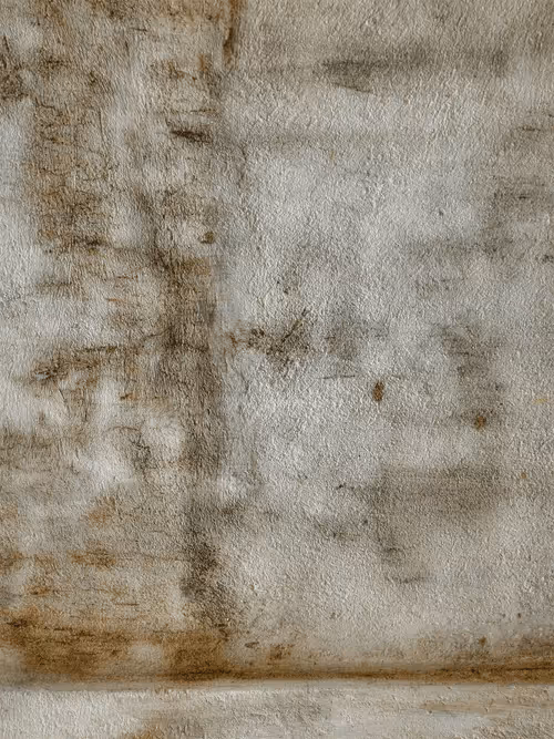 Item #77837778009088564188174628045169397065653229955612462896383264980221170810881 Media