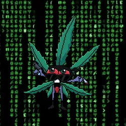 114680721465039083256612249274684104557646113701871480316158584662410758455297