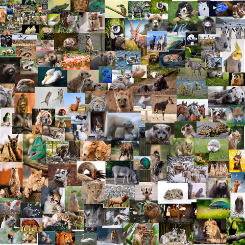 Item #15933107970612006145195016094279064058983652701025384055658232542291977830401 Media