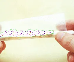 25341286264500723035621473236106555894325910133190681856438129048693971615745