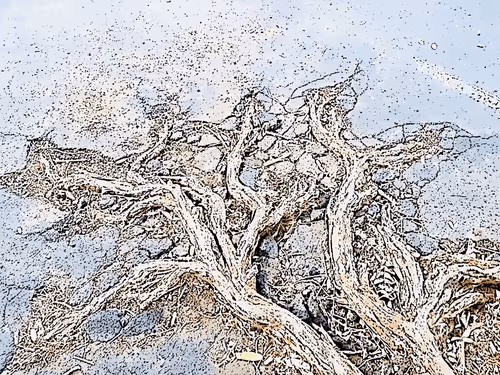 Item #23586274718377853504826207668531862457816485670593798671801516784655437660162 Media