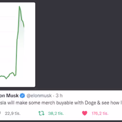 Elon tweeting about crypto = insta 25% gains