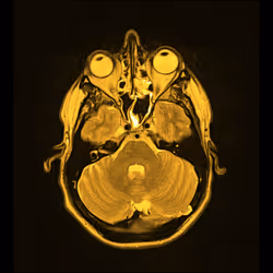 64162533542198579898252916190583583845604629893829087458582976050357226962945