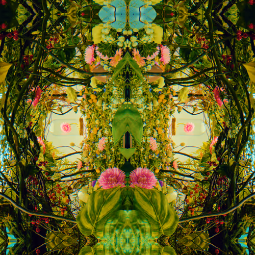 54411499690937640101772425138653578544162397958311670010148906863179633524737